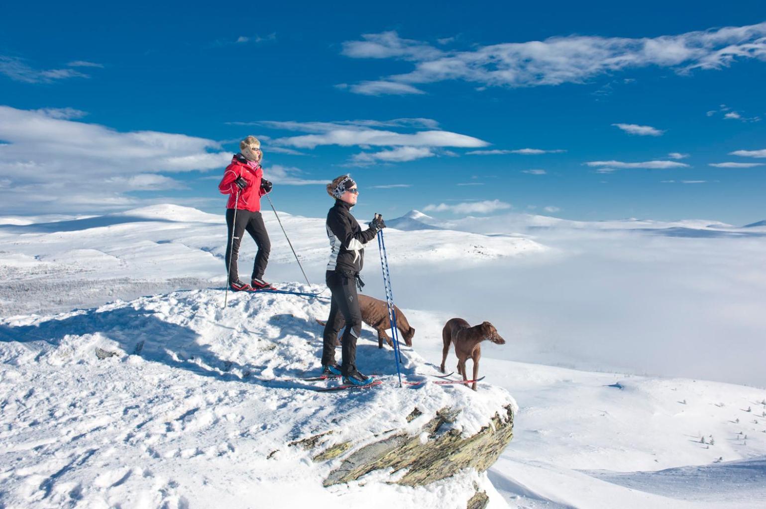 Spidsbergseter Resort Rondane Venabygd エクステリア 写真