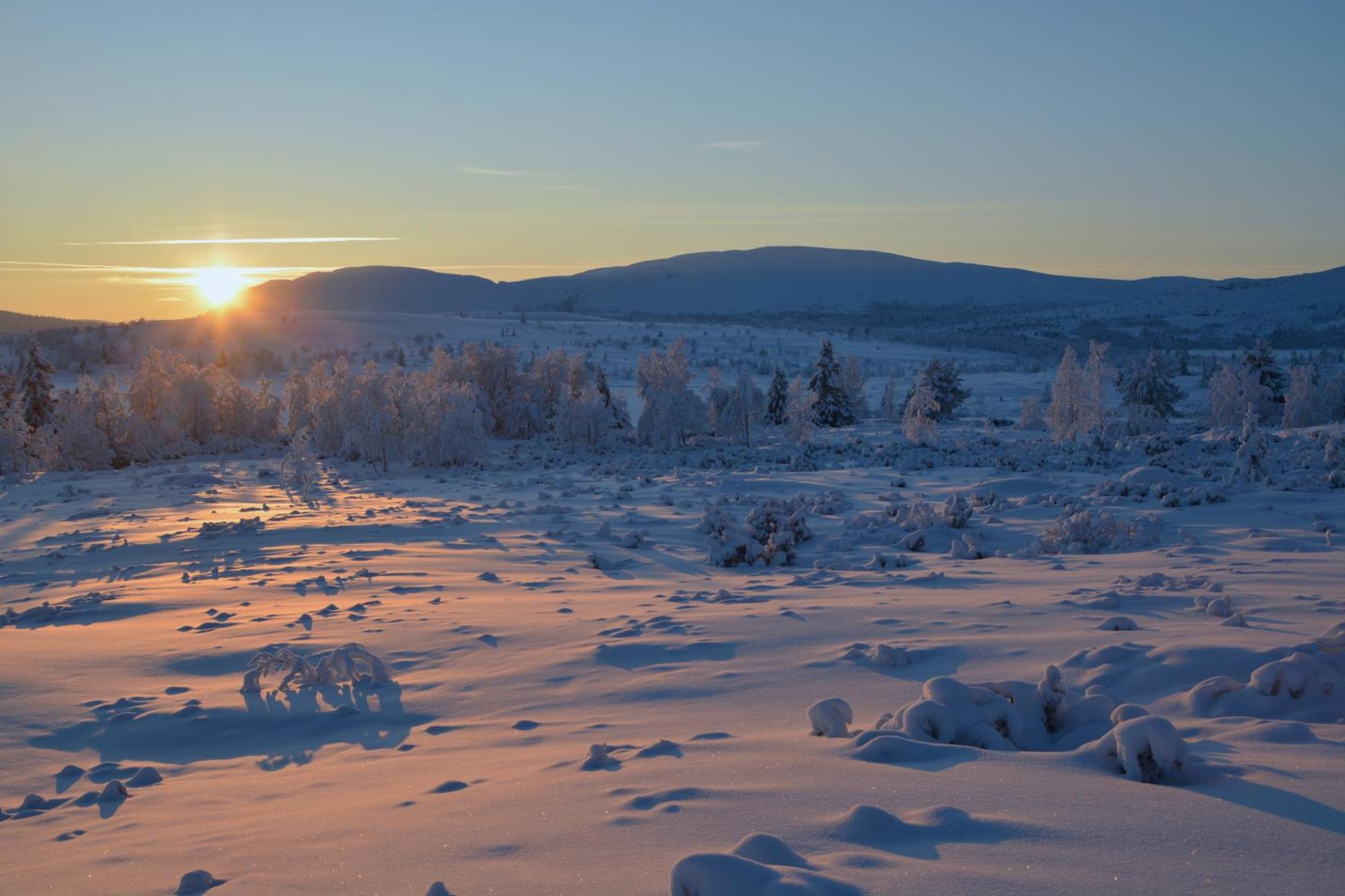 Spidsbergseter Resort Rondane Venabygd エクステリア 写真