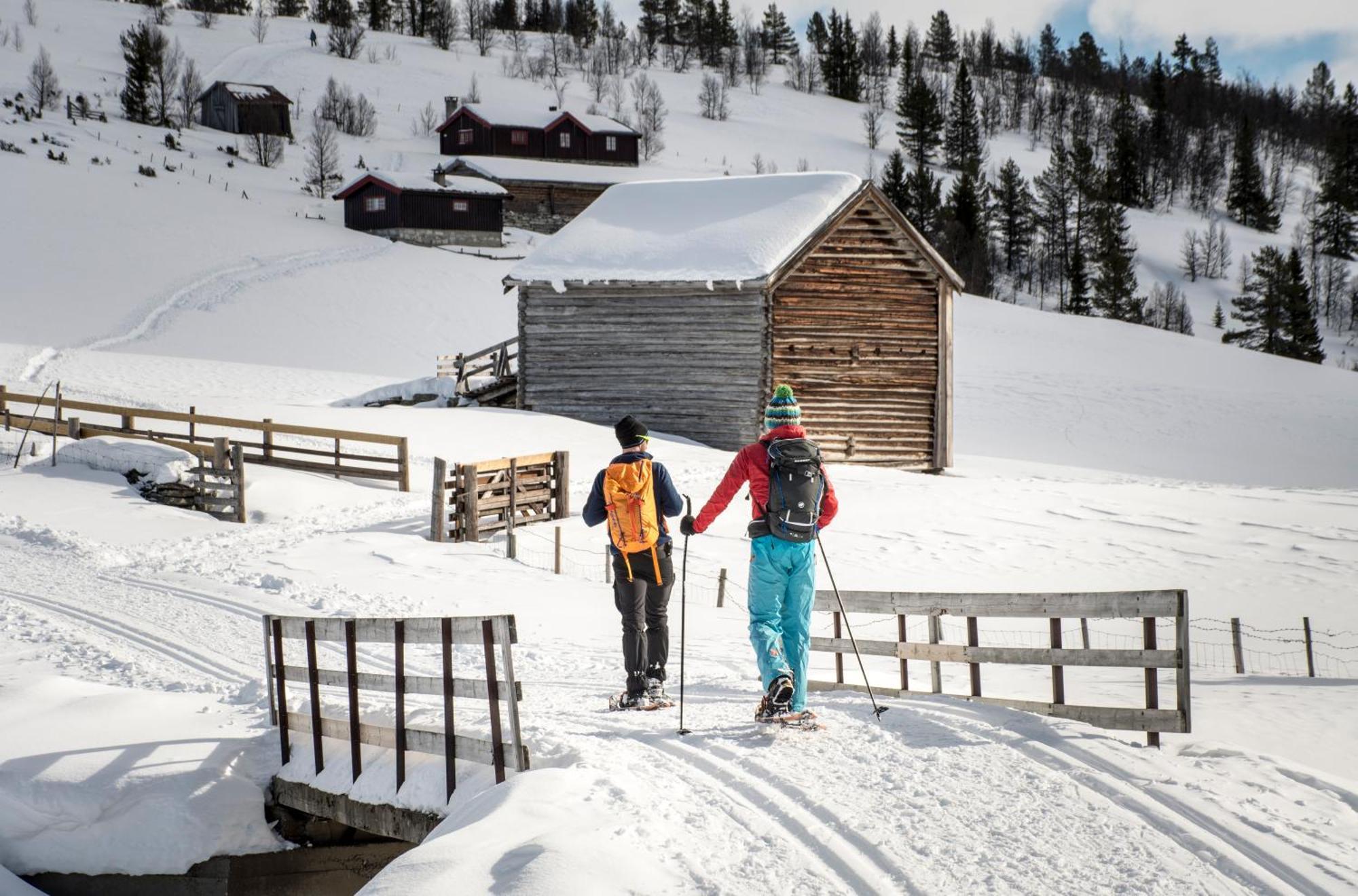 Spidsbergseter Resort Rondane Venabygd エクステリア 写真