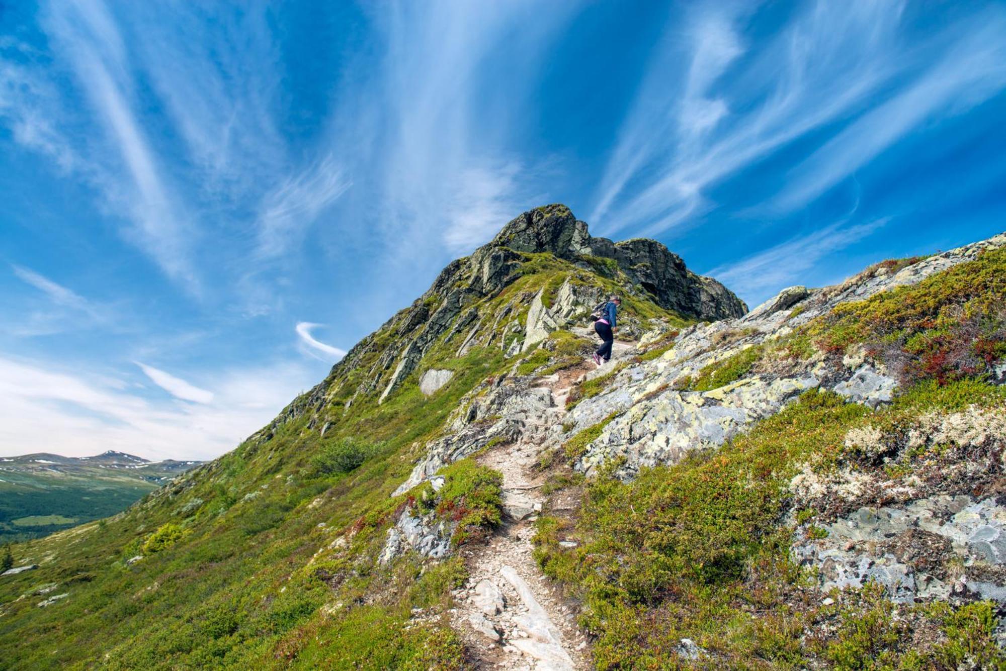 Spidsbergseter Resort Rondane Venabygd エクステリア 写真
