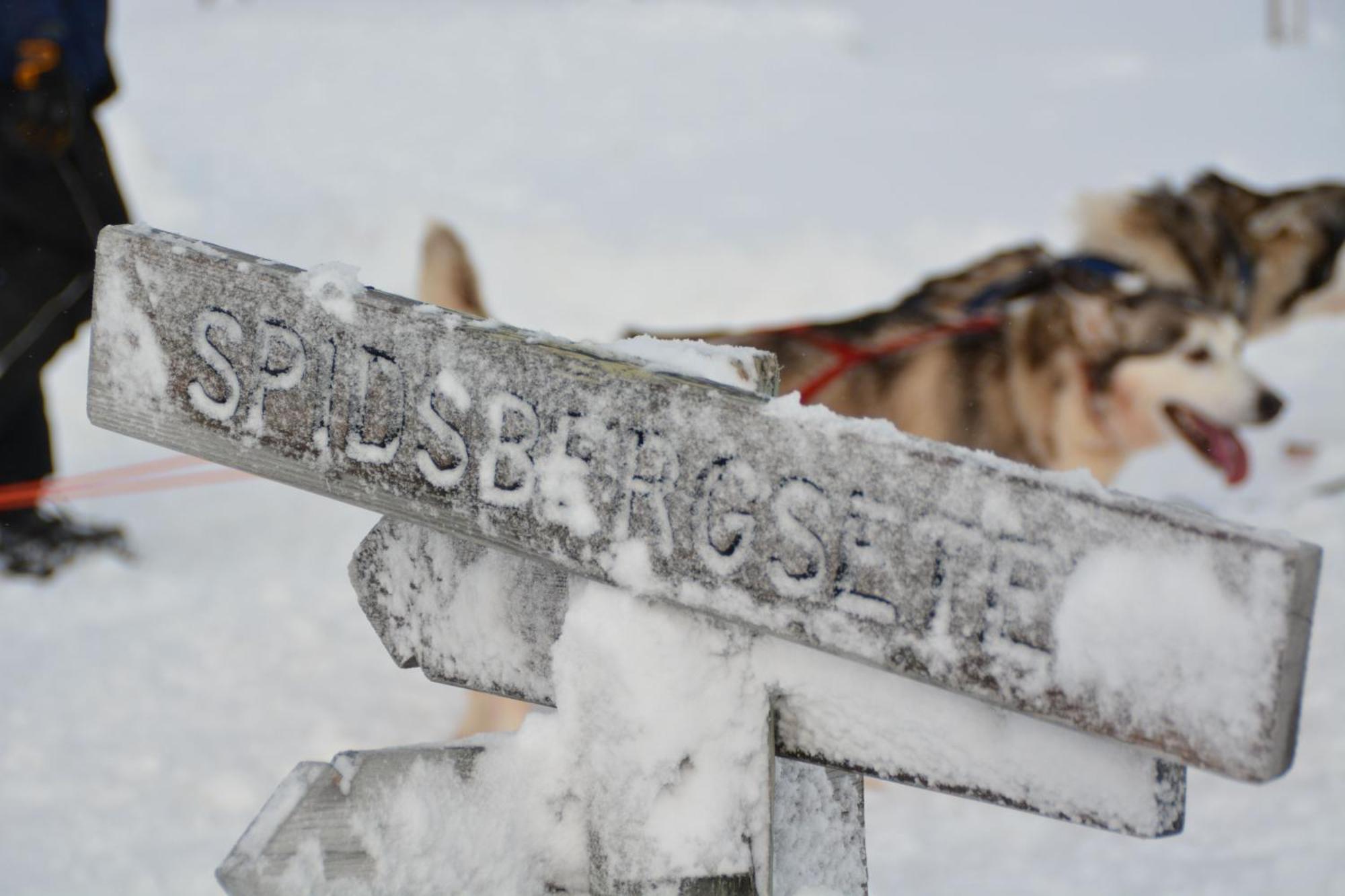 Spidsbergseter Resort Rondane Venabygd エクステリア 写真
