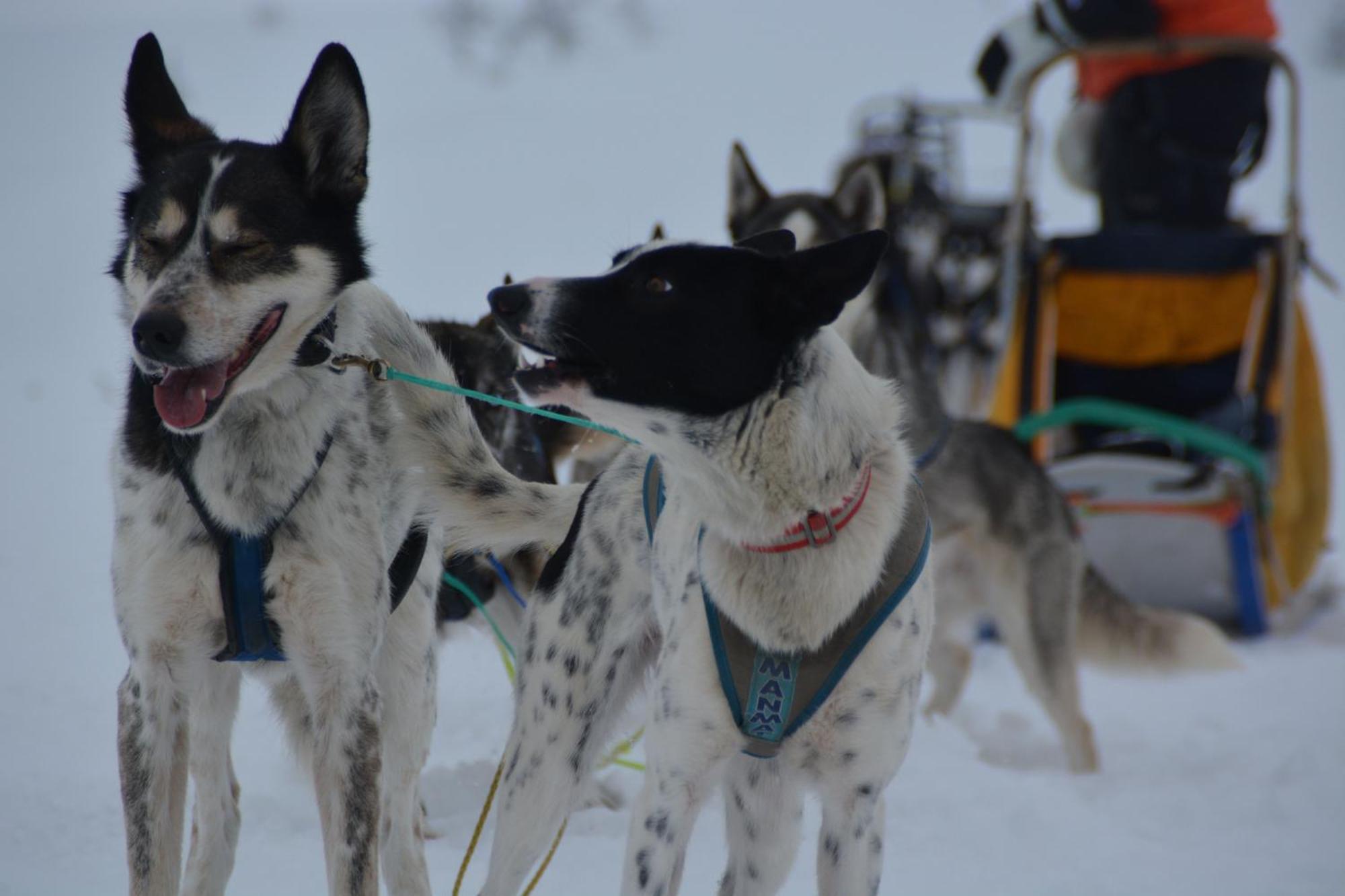 Spidsbergseter Resort Rondane Venabygd エクステリア 写真